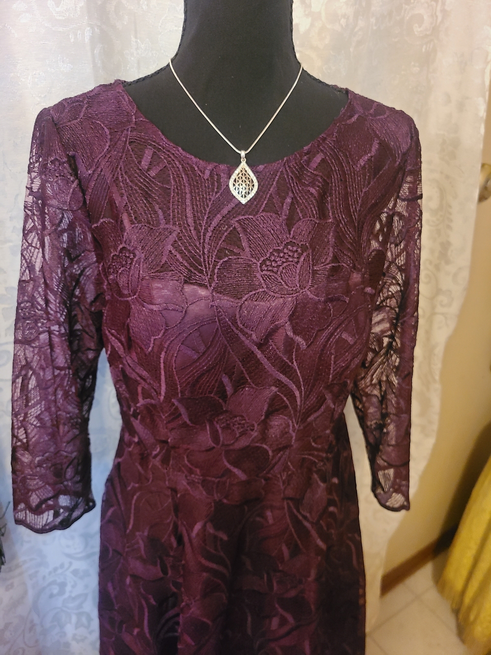 Alex Evenings Plum Lace Long Sleeve Evening Dress